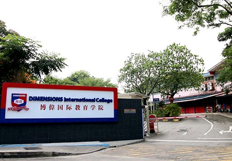 dimnensions-singapore