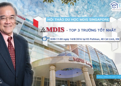 hoi-thao-mdis-minh-hoa2