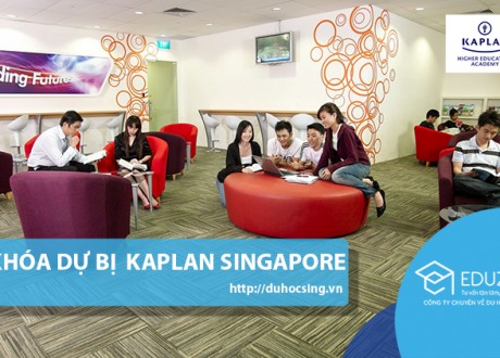 du-bi-kaplan-singapore