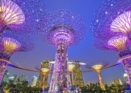 Du học Singapore: Bạn đã lường trước những điều này chưa? Du học Singapore: Bạn đã lường trước những điều này chưa?