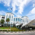 Tuần lễ tư vấn: Tìm hiểu các ngành đào tạo chuẩn quốc tế tại Học viện SIM Singapore Tuần lễ tư vấn: Tìm hiểu các ngành đào tạo chuẩn quốc tế tại Học viện SIM Singapore
